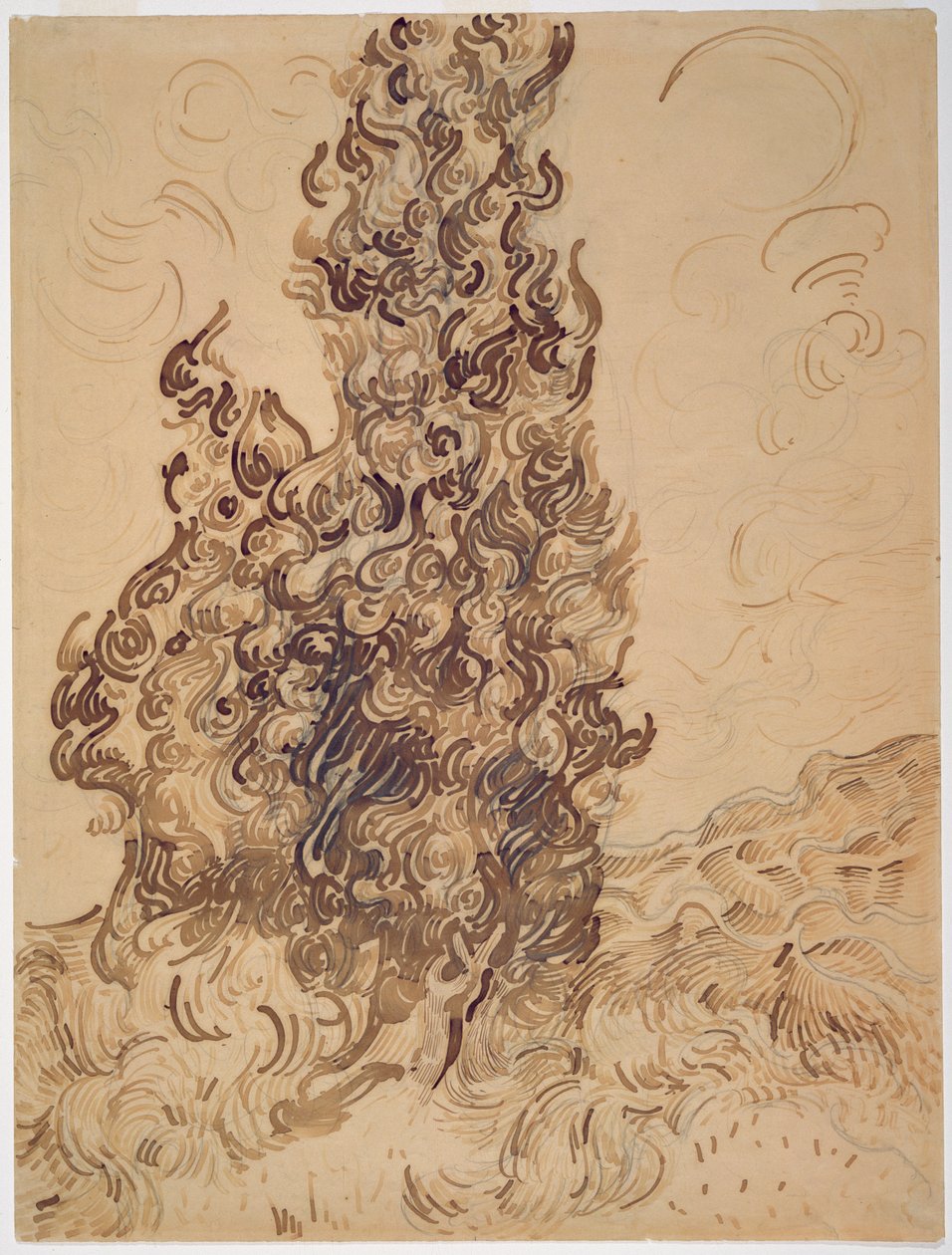 Cypřiše, 1889 (rákosové pero, grafit, brk a hnědý a černý inkoust na papíře) od Vincent van Gogh