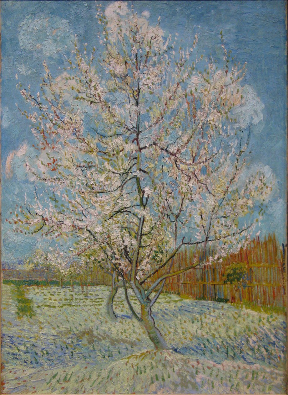 Růžový broskvoní od Vincent van Gogh