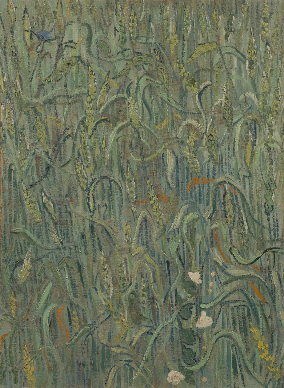 Uši pšenice od Vincent van Gogh