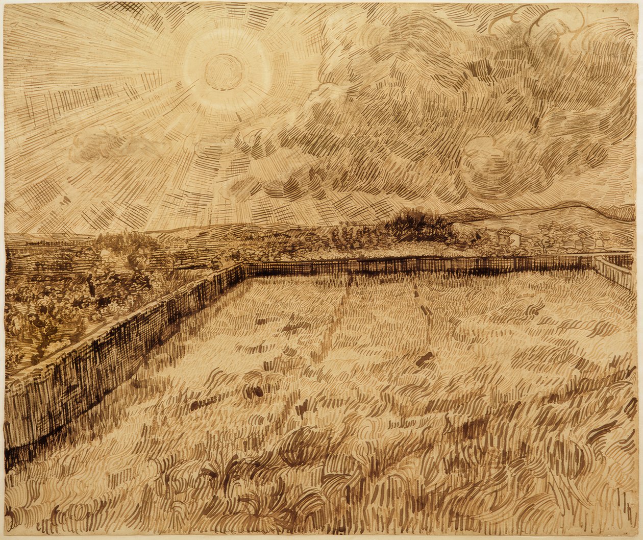 Pole a olivovníky od Vincent van Gogh