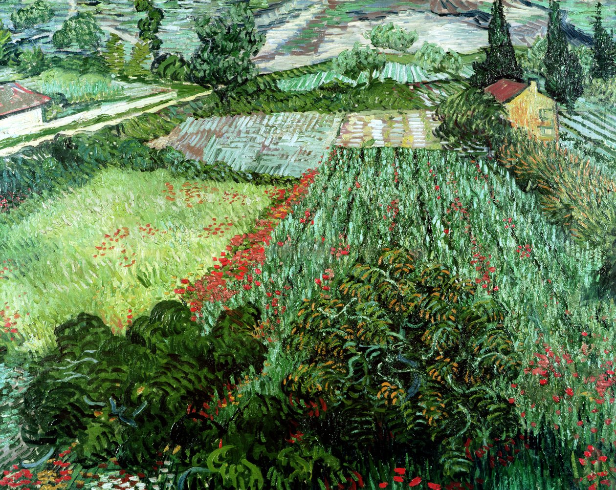Pole s máky, 1889 od Vincent van Gogh