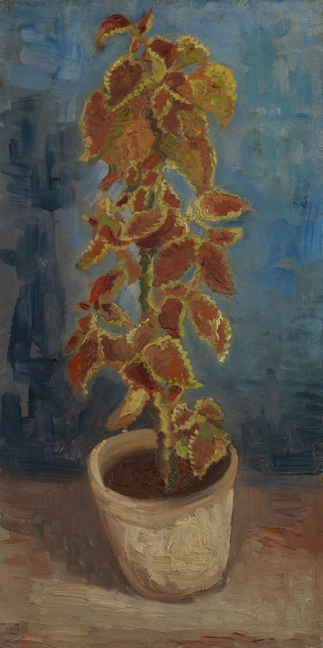 Plamenná kopřiva v květináči od Vincent van Gogh