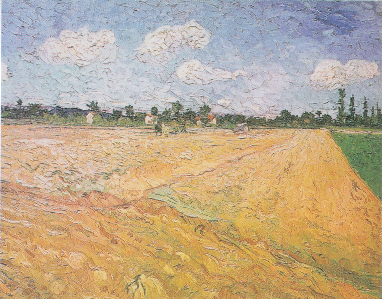 Zorané pole od Vincent van Gogh