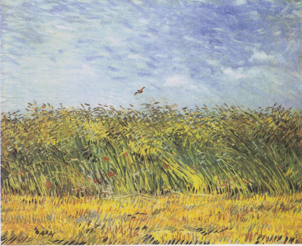 Obilné pole s mákem a skřivanem od Vincent van Gogh