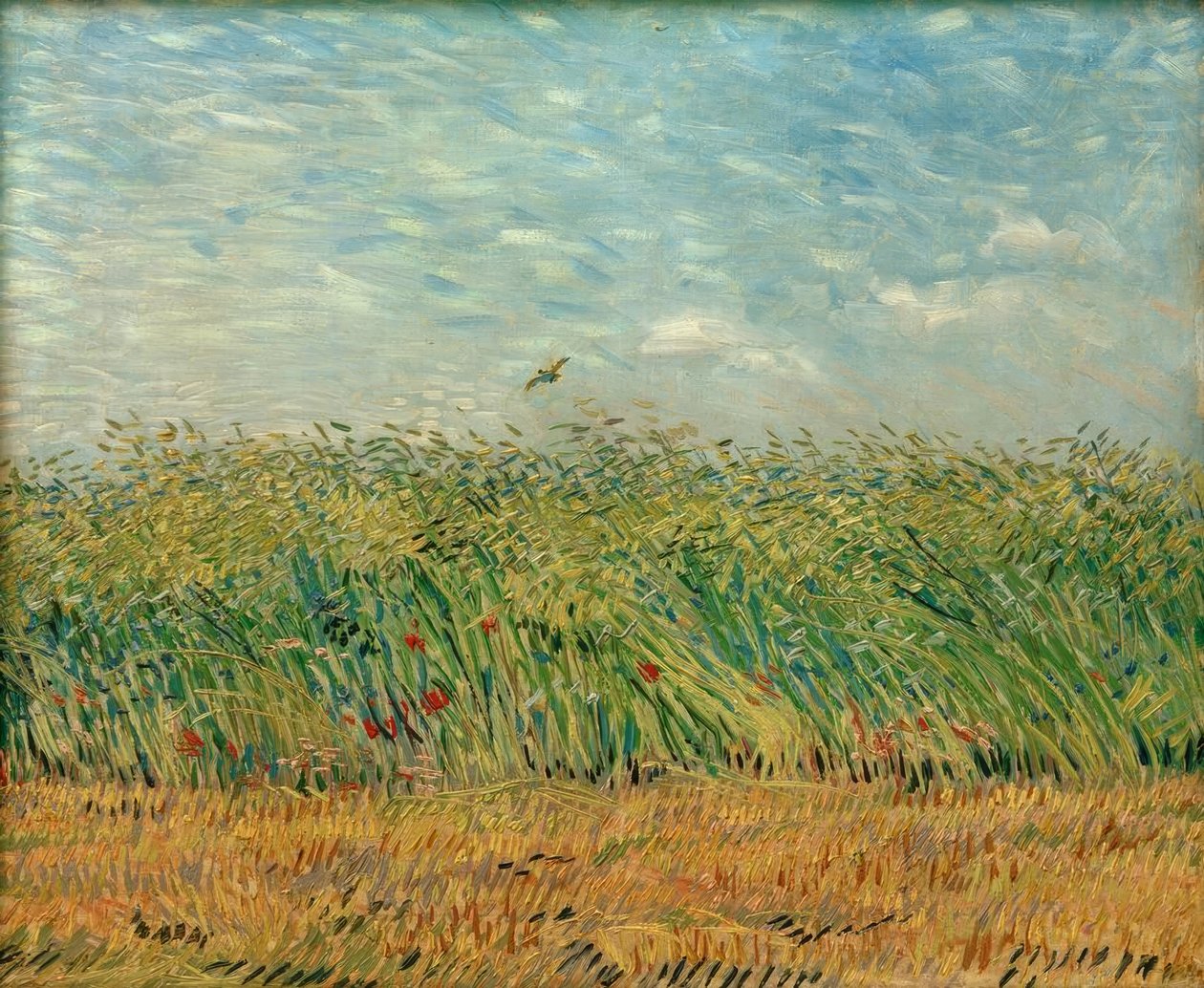 Obilné pole s mákem a koroptví od Vincent van Gogh