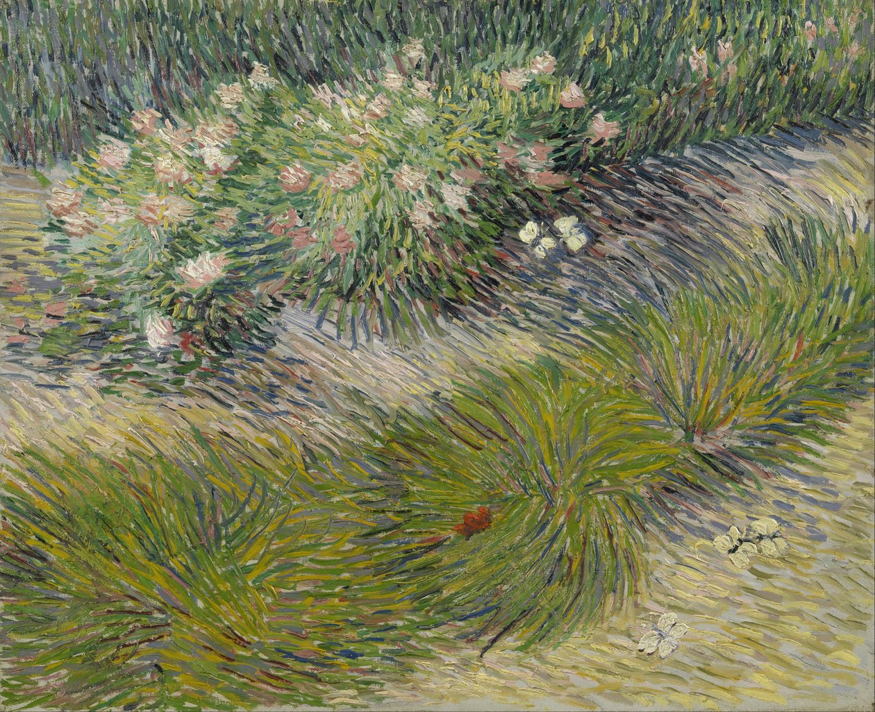 Tráva a motýli od Vincent van Gogh