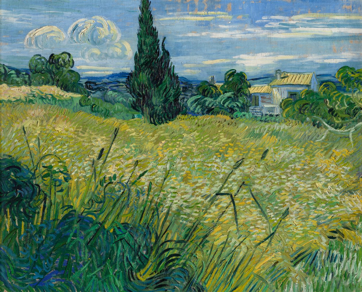 Zelená pšenice, 1889 od Vincent van Gogh