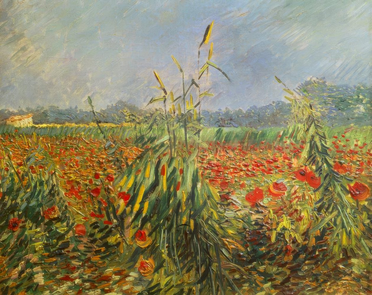 Zelené stonky kukuřice od Vincent van Gogh