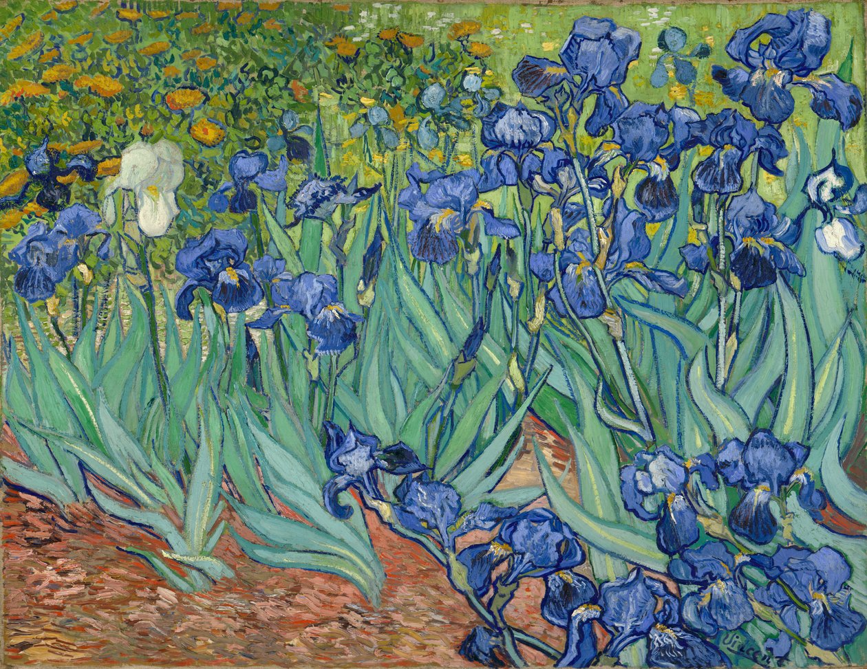 Duhovka od Vincent van Gogh