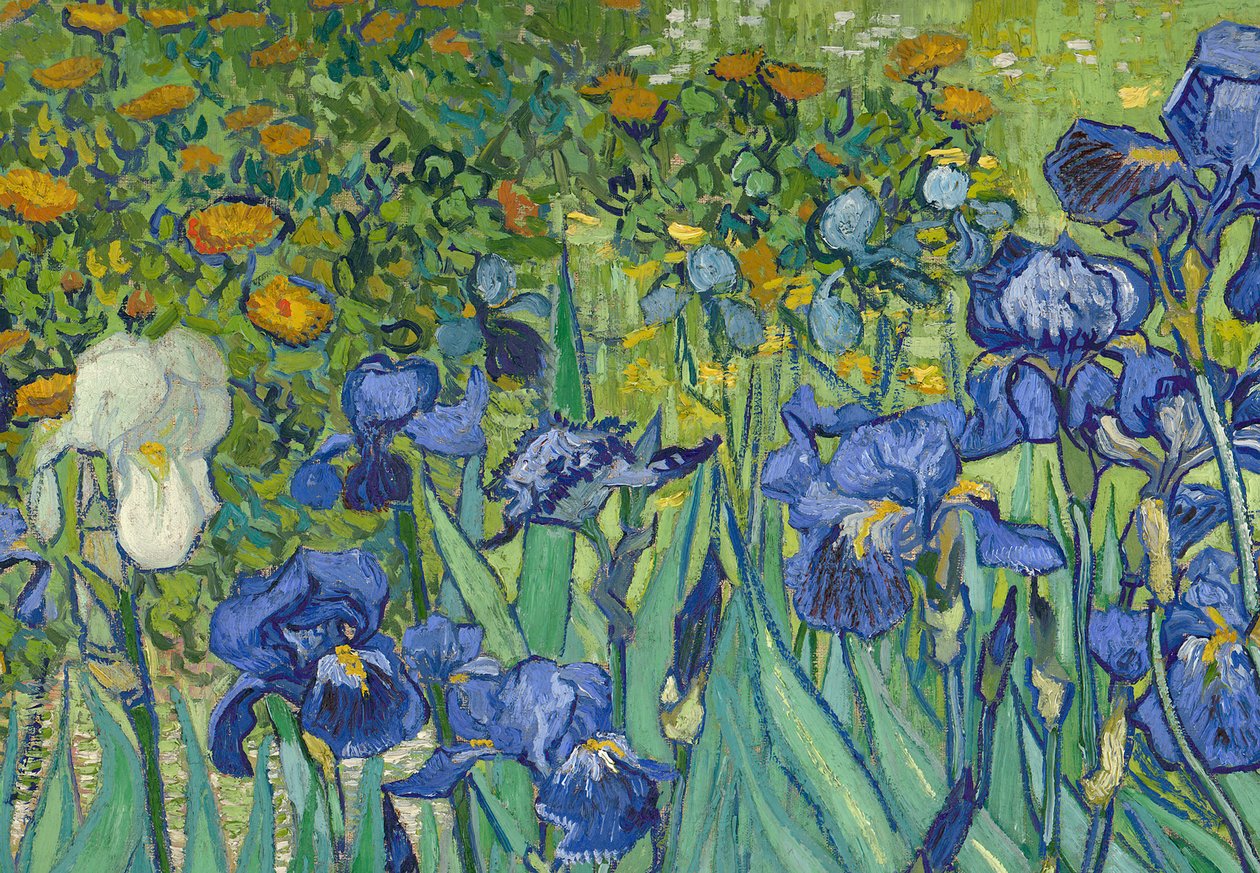 Kosatce, 1889 (detail 40070) od Vincent van Gogh
