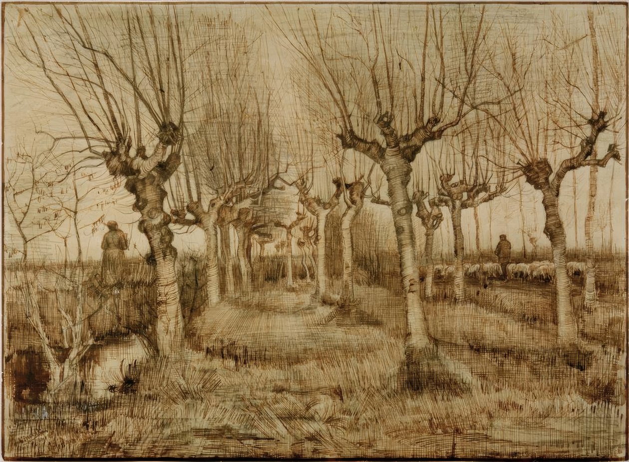 Pollared vrby od Vincent van Gogh
