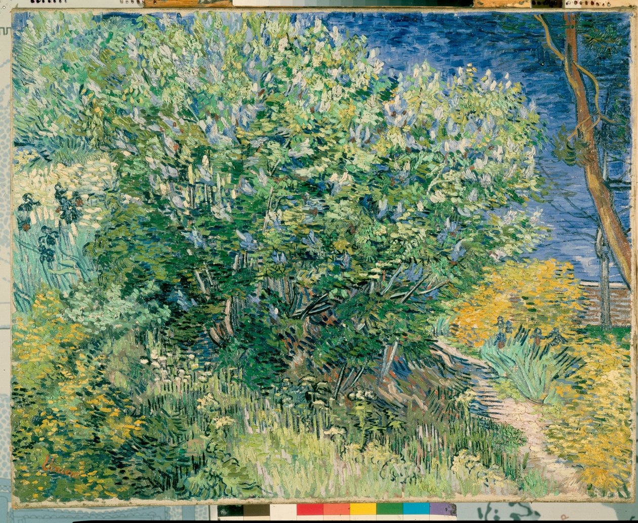 Lilac Bush od Vincent van Gogh