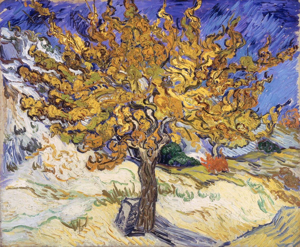 Mulberry Tree, 1889 od Vincent van Gogh