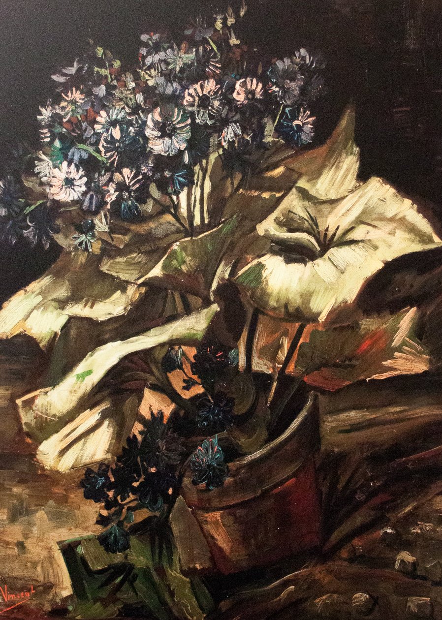 Můj sen od Vincent van Gogh