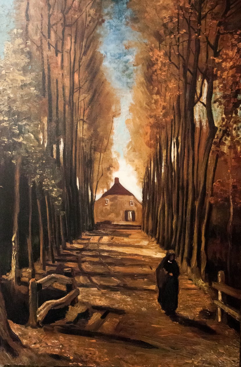 Můj sen od Vincent van Gogh