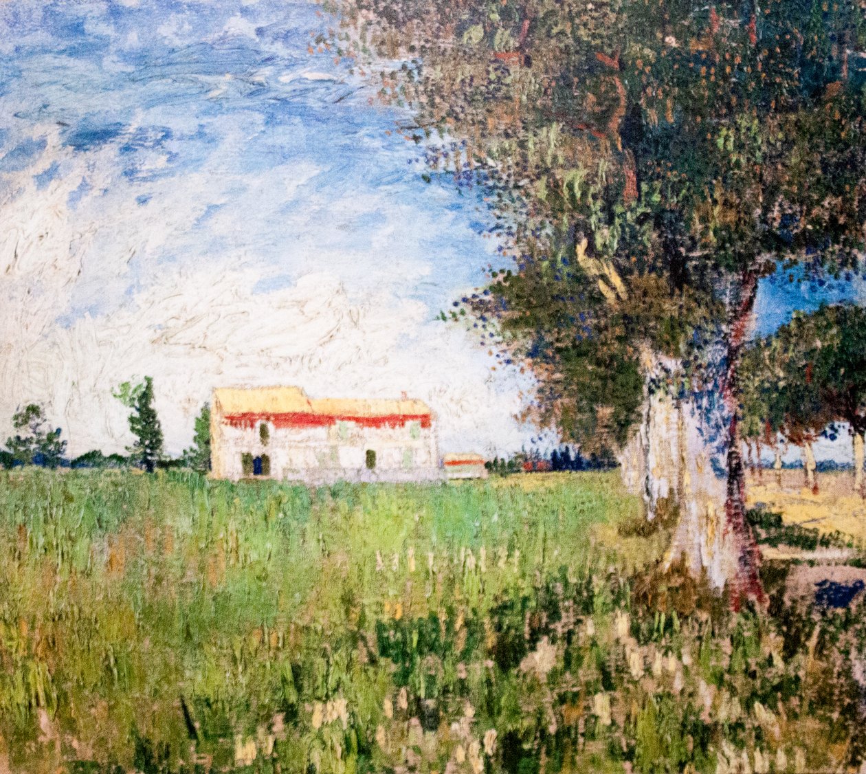 Můj sen od Vincent van Gogh
