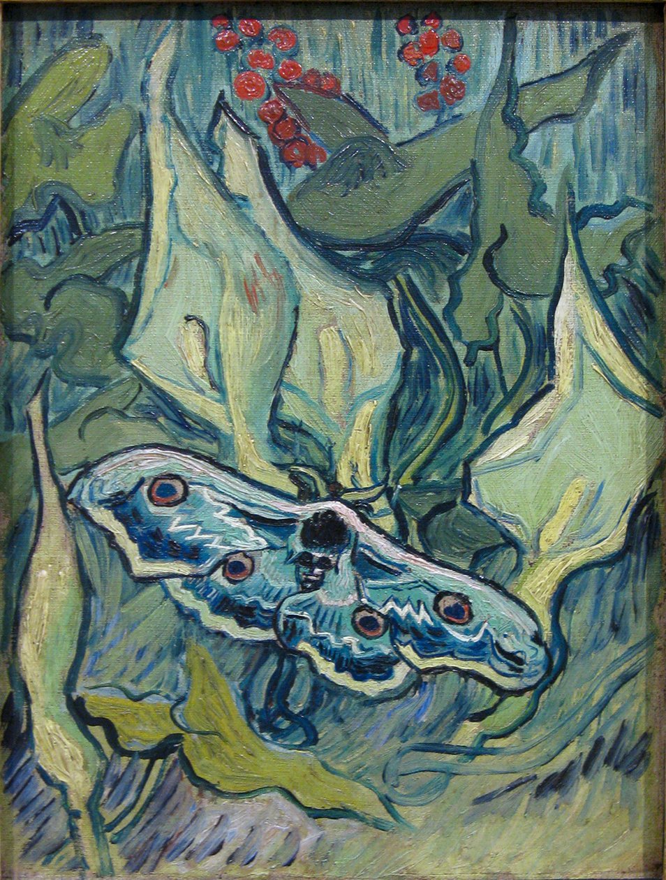 noční paví oko od Vincent van Gogh
