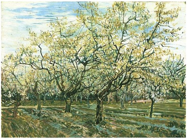 Sad s kvetoucími švestkami od Vincent van Gogh