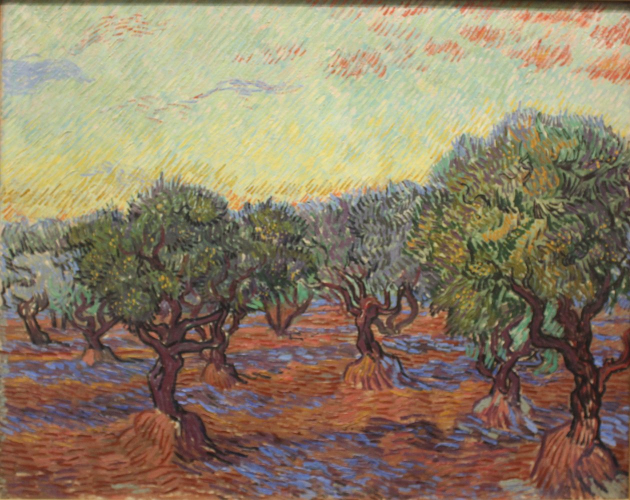 Olivový háj od Vincent van Gogh
