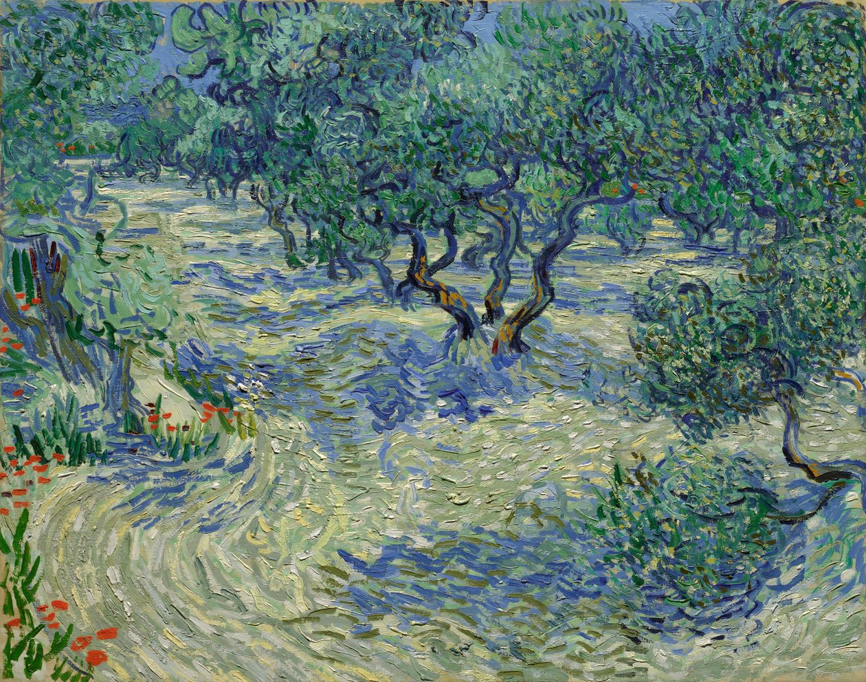 Olivový sad od Vincent van Gogh