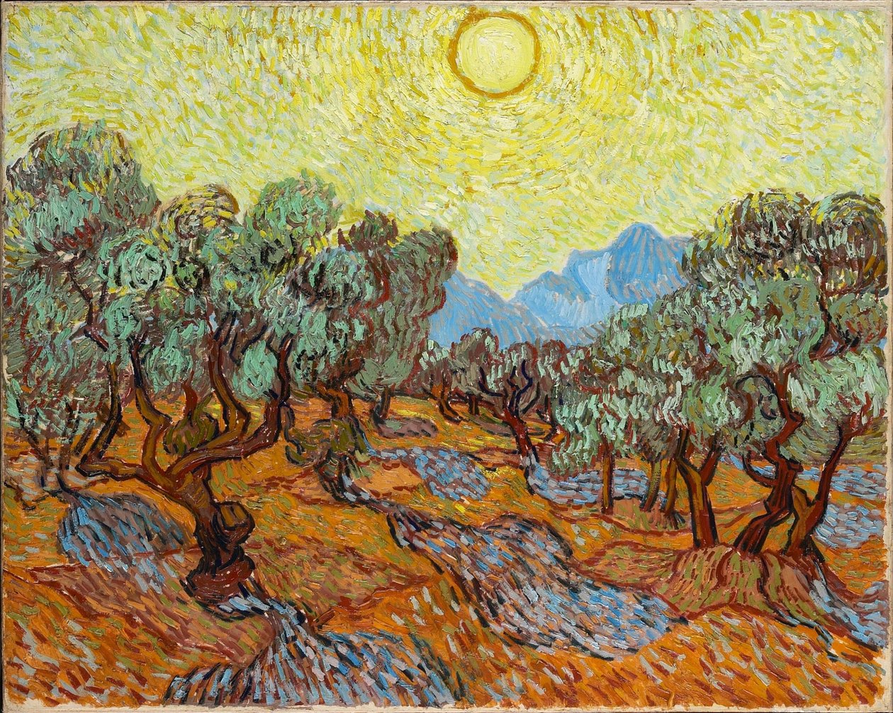 Olivovníky se žlutou oblohou a sluncem od Vincent van Gogh