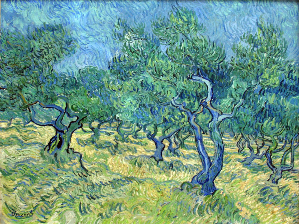 Olivová zahrada od Vincent van Gogh