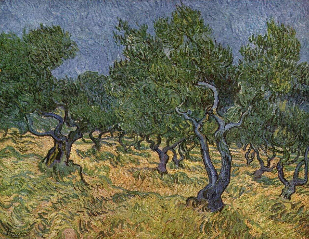 Olivový háj od Vincent van Gogh