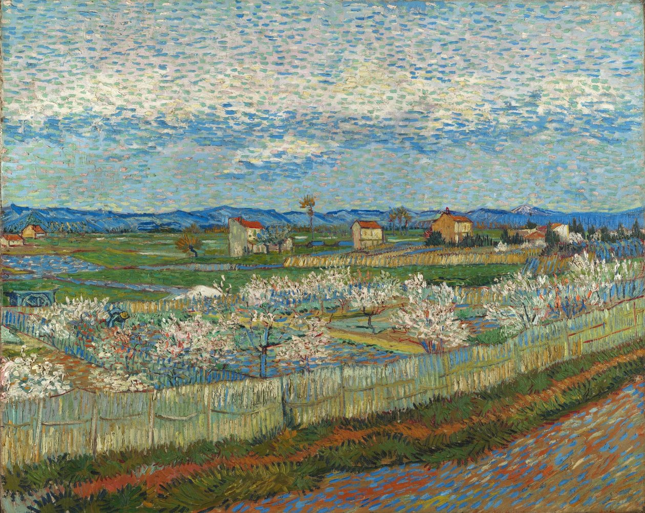 Broskvové stromy v květu od Vincent van Gogh