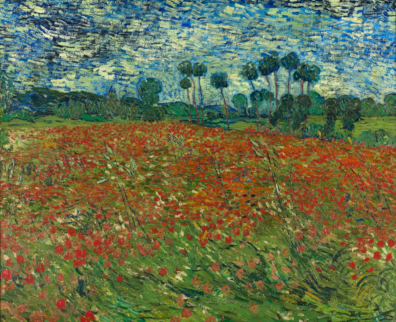 Makové pole od Vincent van Gogh