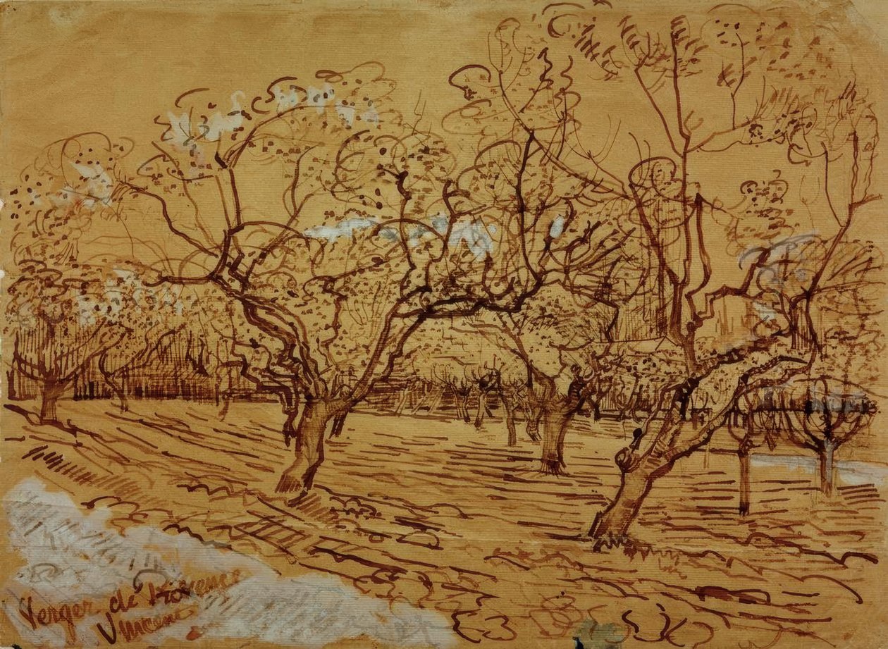 Provensálský sad od Vincent van Gogh