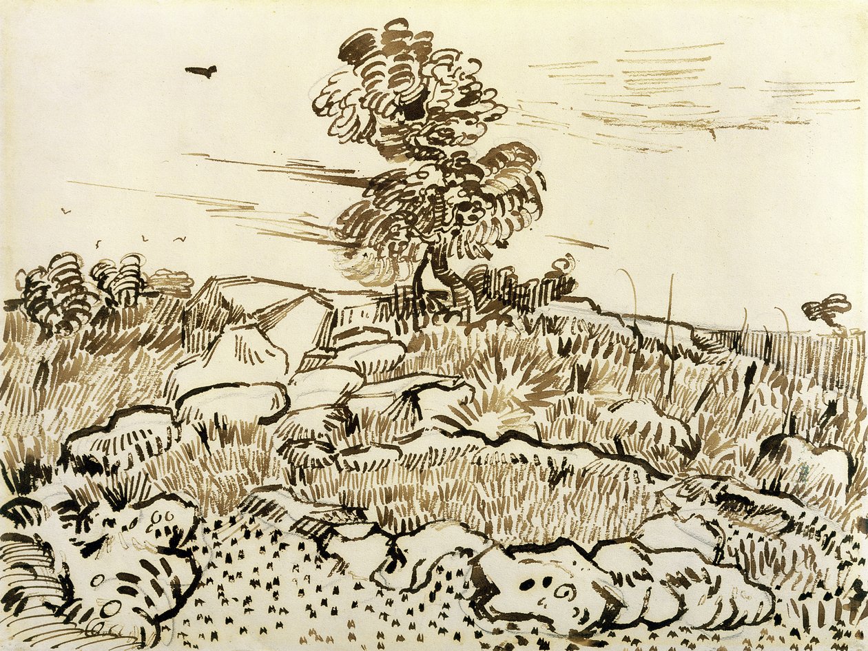 Rocky Ground at Montmajour, 1888-89 (pero, rákosové pero a inkoust na papíře) od Vincent van Gogh