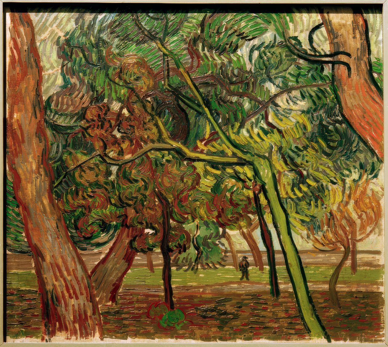 Studium se smrky na podzim od Vincent van Gogh
