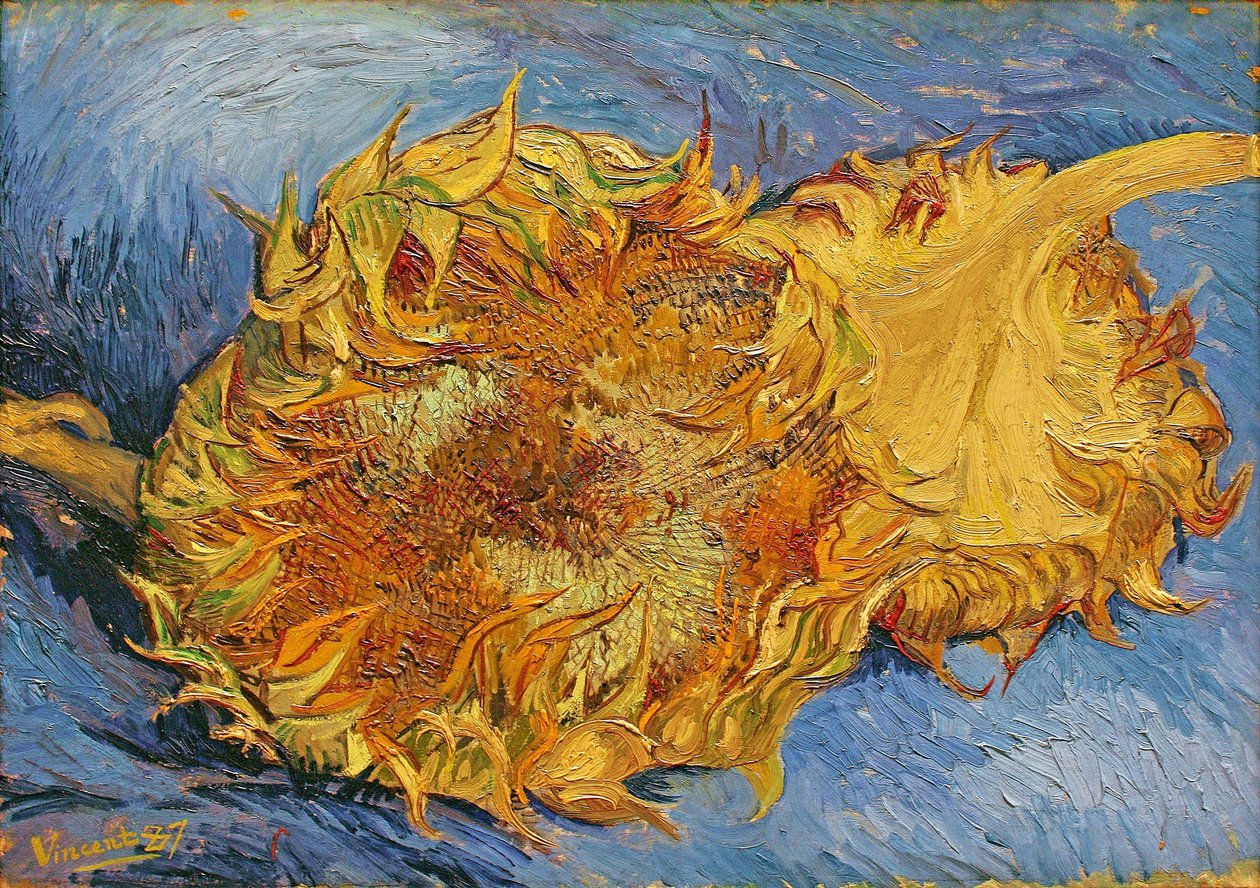 Dvě řezané slunečnice od Vincent van Gogh