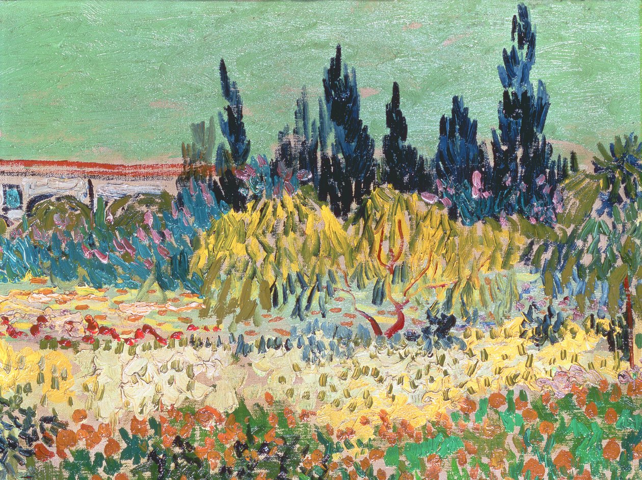 Zahrada v Arles, detail cypřiše, 1888 (detail 78273) od Vincent van Gogh