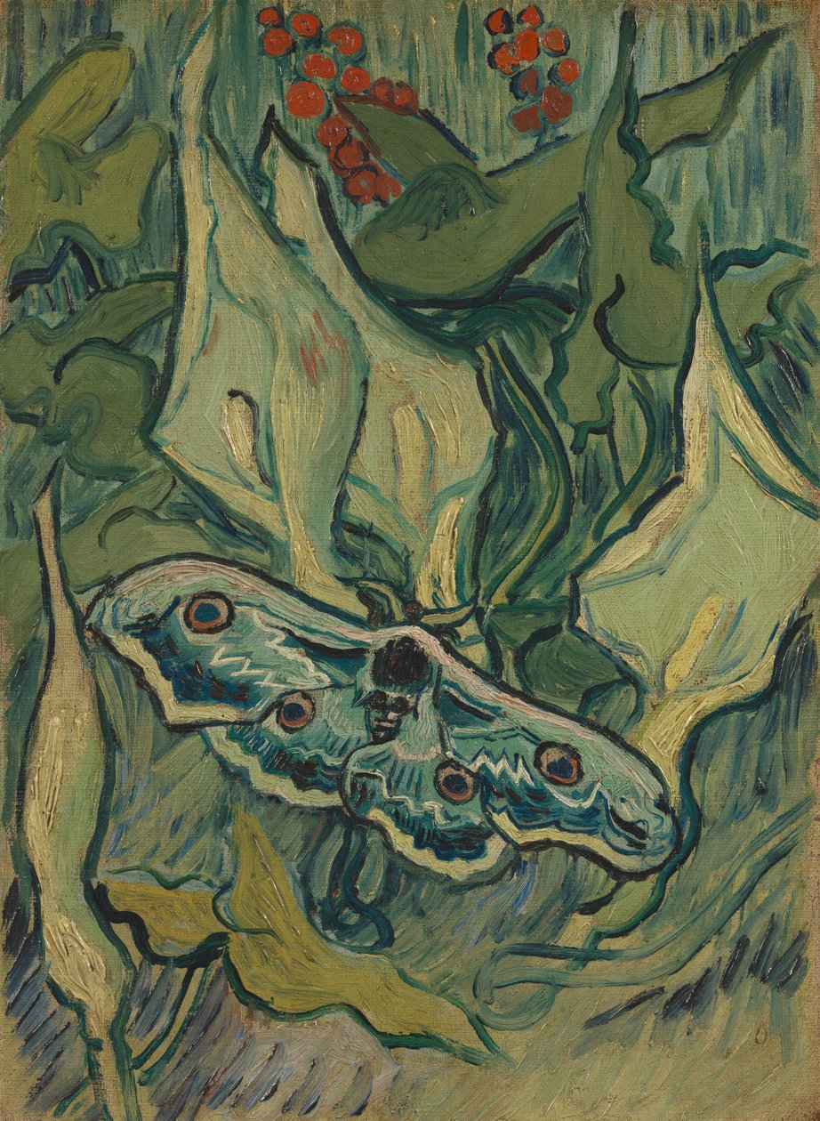 Jestřábci lebek na arumu od Vincent van Gogh
