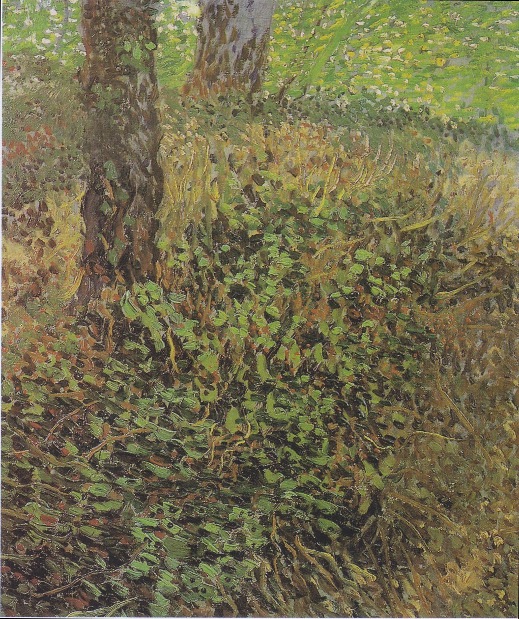 Podrost od Vincent van Gogh