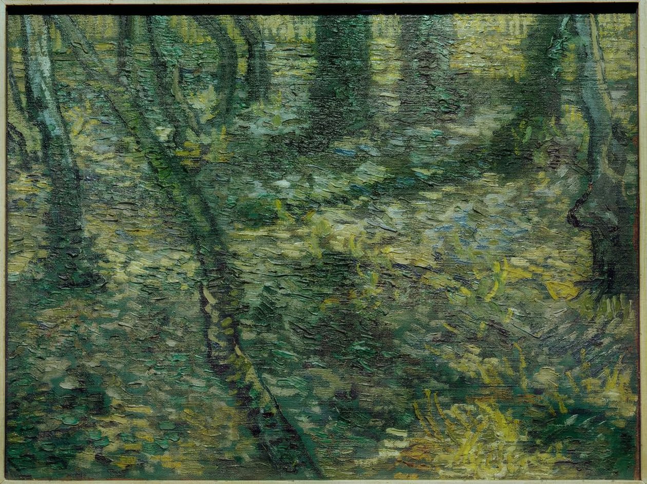 Podrost s břečťanem od Vincent van Gogh