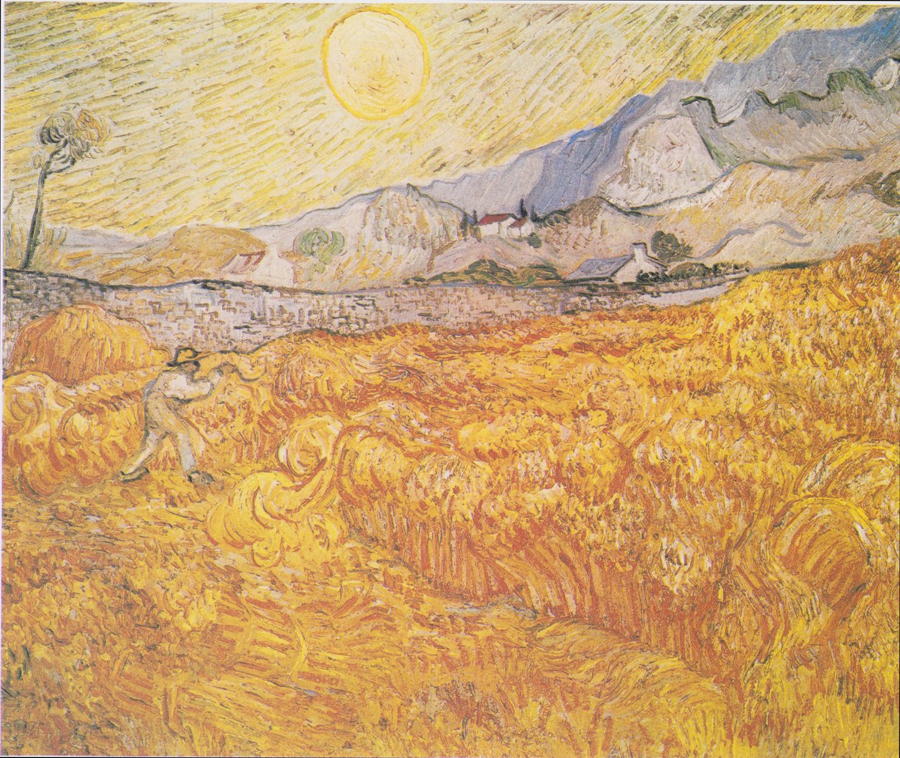 Pšeničné pole za nemocnicí Saint-Paul (Sklizeň) od Vincent van Gogh