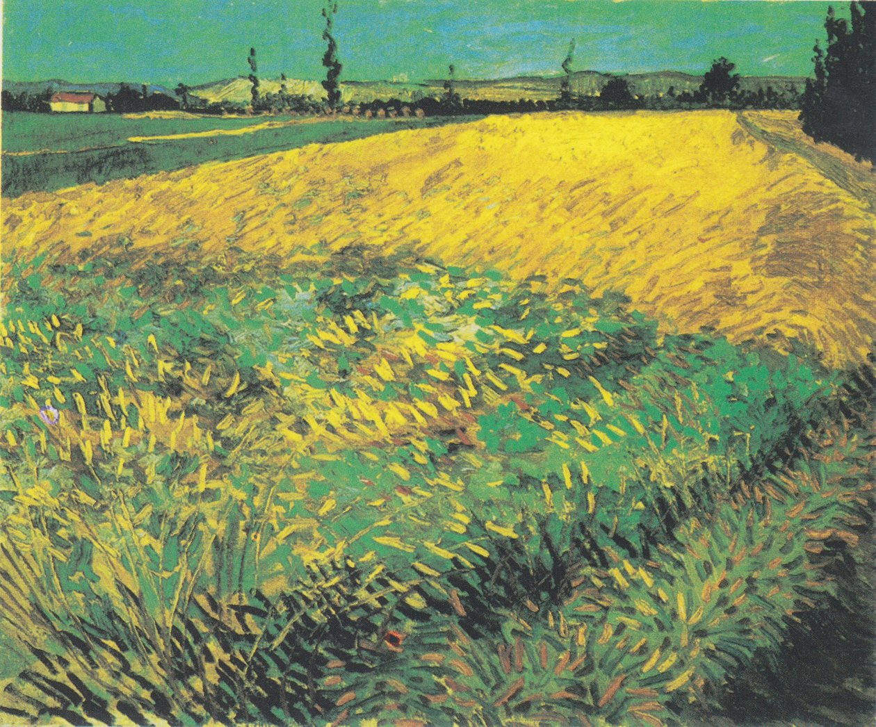 Pšeničné pole s kopci Alpilles v pozadí od Vincent van Gogh
