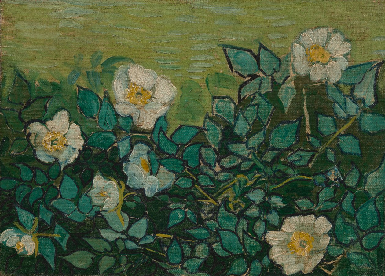 Divoké růže od Vincent van Gogh