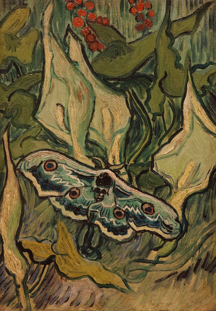 afra od Vincent van Gogh