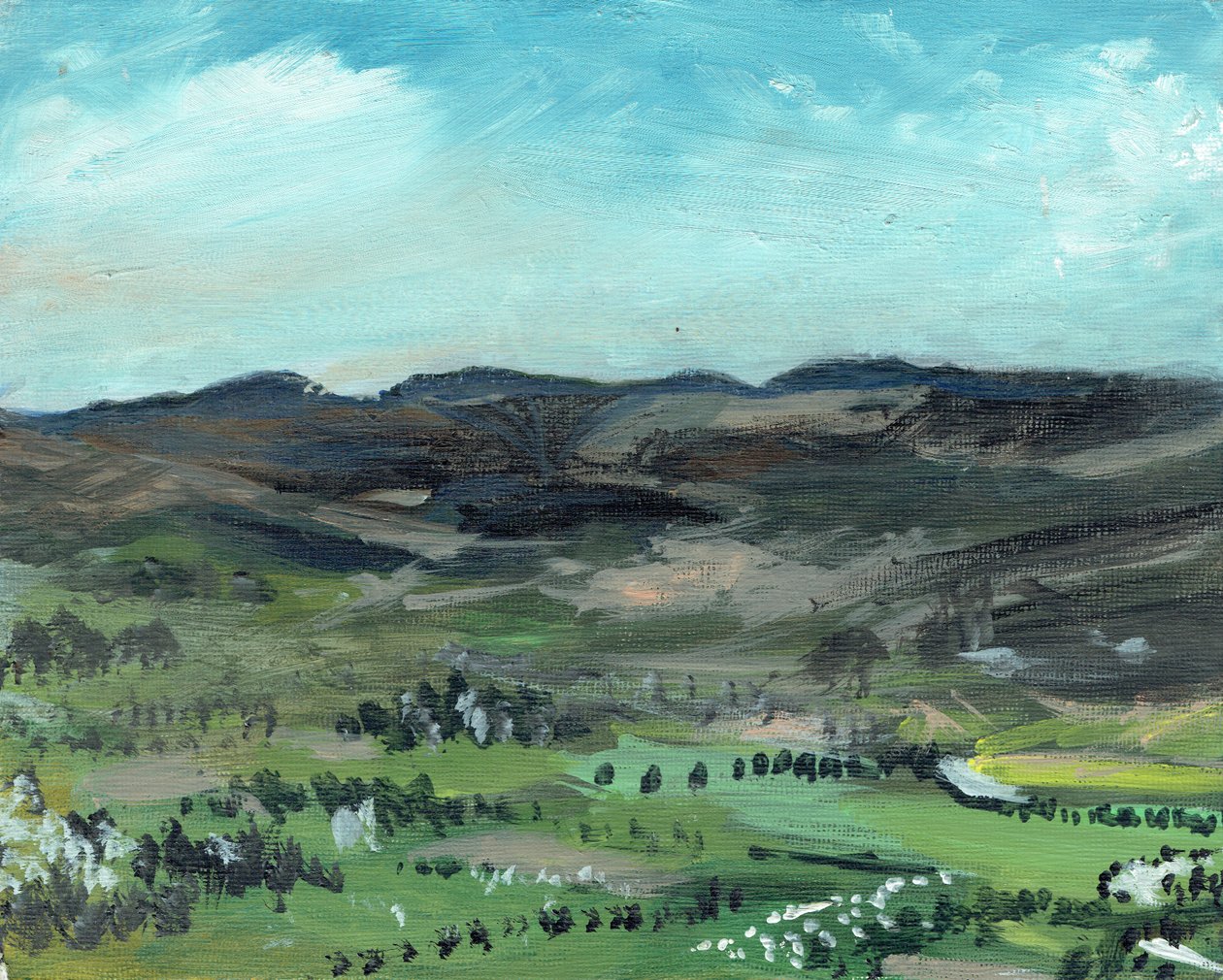 Cairngorms z Creag Dhubh, 2006, (akryl na plátně) od Vincent Alexander Booth