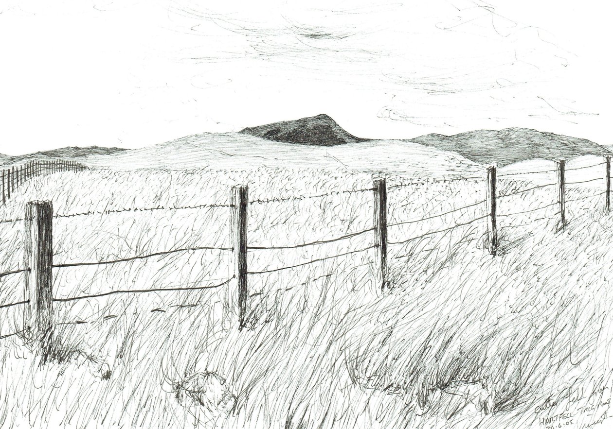 Culter Fell z Hartfell, 2005 od Vincent Alexander Booth