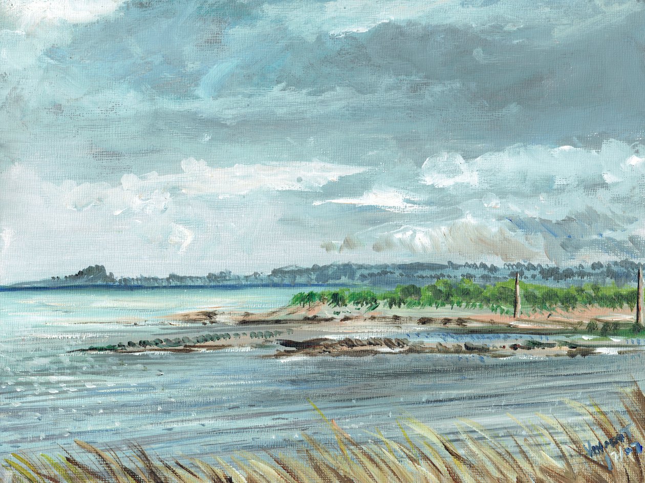 Iona Scotland, 2007, (akryl na plátně) od Vincent Alexander Booth