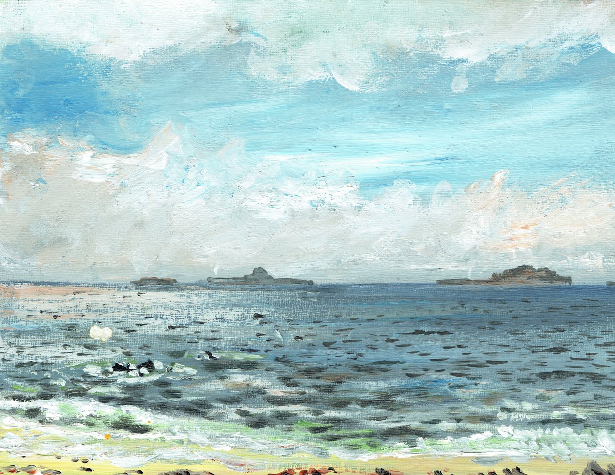 Iona beach, 2007, (akryl na plátně) od Vincent Alexander Booth