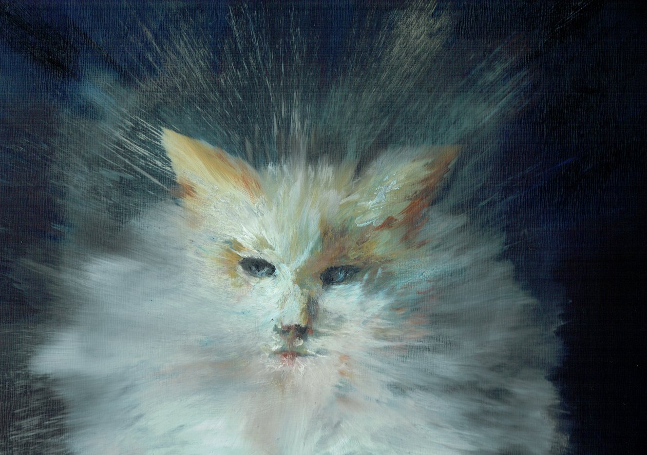 Monty fluffball, 2015, (olej na plátně) od Vincent Alexander Booth
