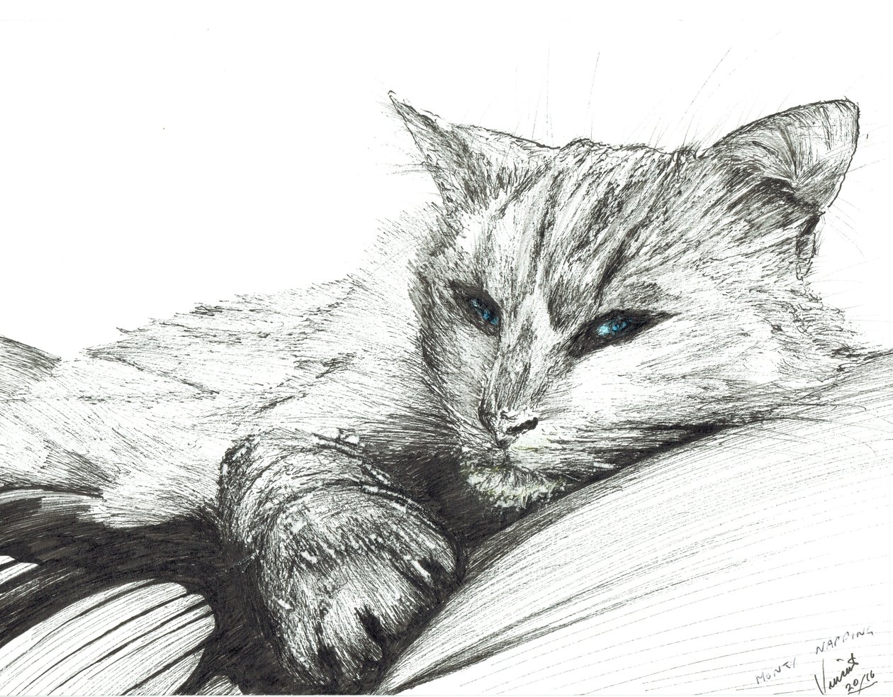 Monty,podřimující, 2016, (tuš na papíře) od Vincent Alexander Booth