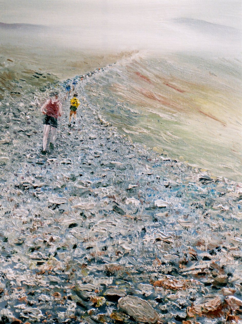 Vyběhněte Snowdon, 2014 od Vincent Alexander Booth