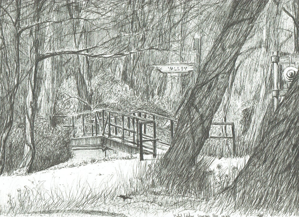 Starý kovový most, Bramhall park, 2004 od Vincent Alexander Booth