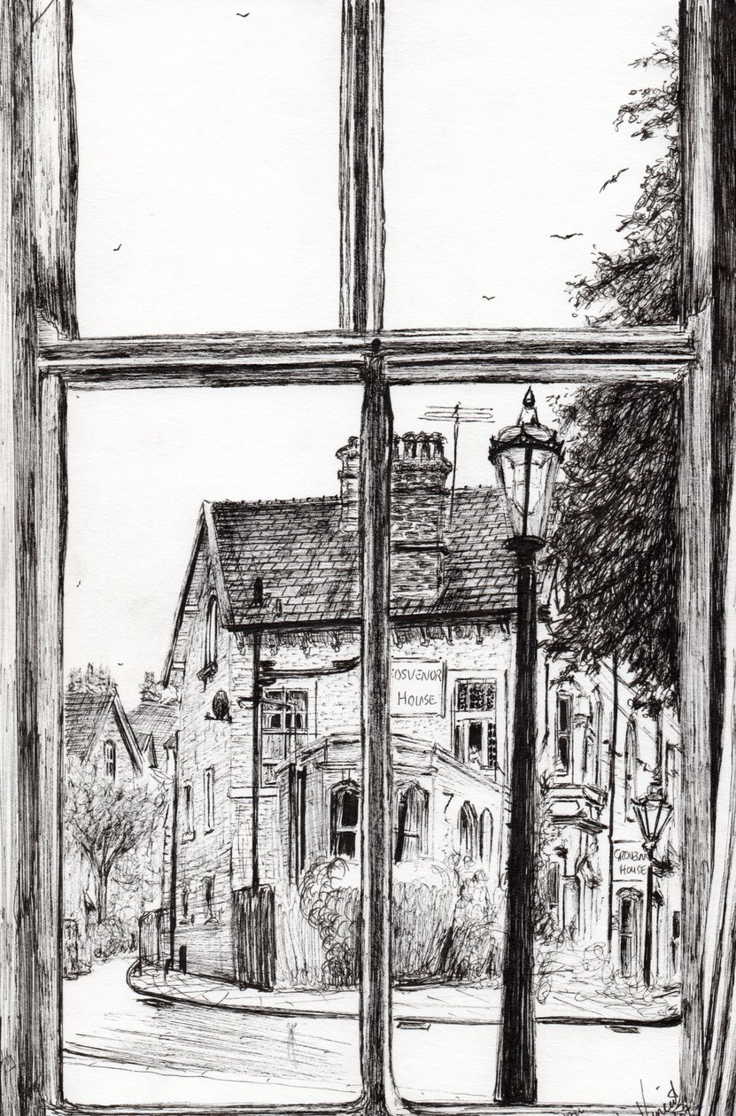 Pohled z Old Hall Hotel Buxton, 2009, (inkoust na papíře) od Vincent Alexander Booth